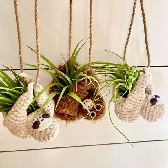 🔆AIR PLANT BUDDIES🔆 LIVE PLANTS SHIPPED WITH CARE - Picture 2 of 10